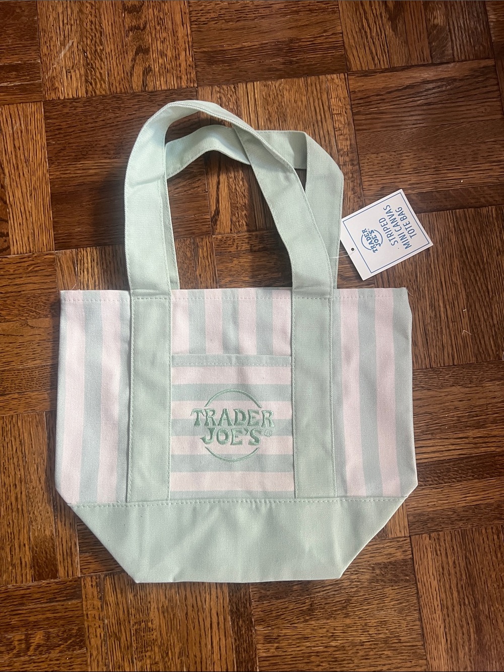 TRADER JOE’S SEAFOAM STRIPED MINI TOTE